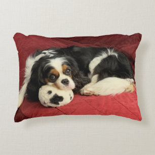 Cavalier King Charles Spaniel Accent Pillow Dekokissen