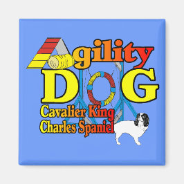 Cavalier_King_Charles_Spaniel_Agility Magnet