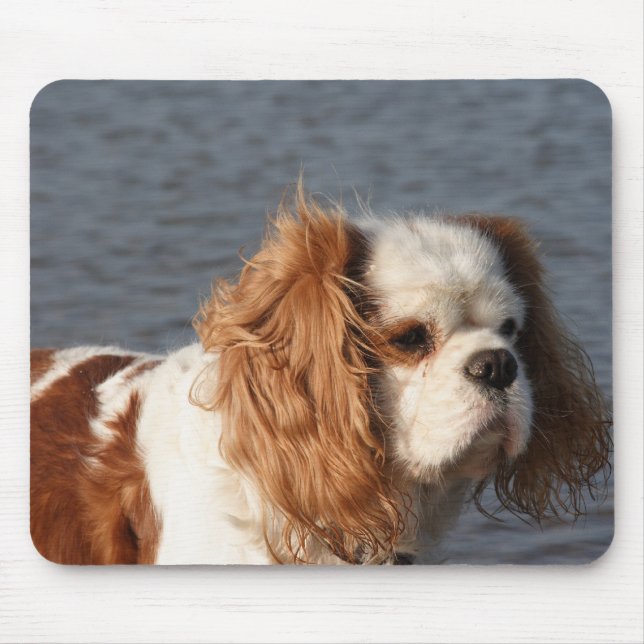 Cavalier King Charles Spaniel am Strand-Mauspad Mousepad (Vorne)