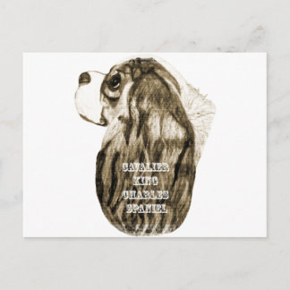 Cavalier King Charles Spaniel Antique Profil Postkarte