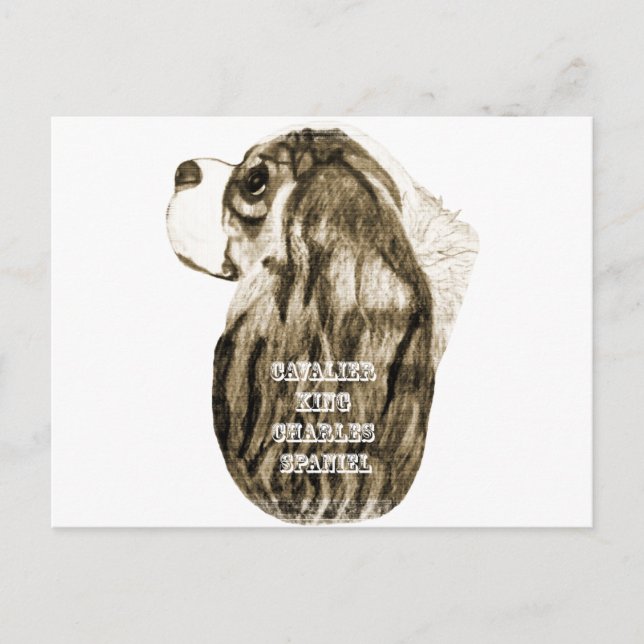 Cavalier King Charles Spaniel Antique Profil Postkarte (Vorderseite)