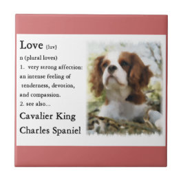 Cavalier King Charles Spaniel Art Liebe is Fliese