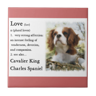 Cavalier King Charles Spaniel Art Liebe is Fliese