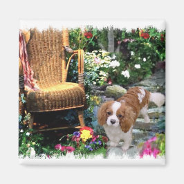 Cavalier King Charles Spaniel Art Magnet