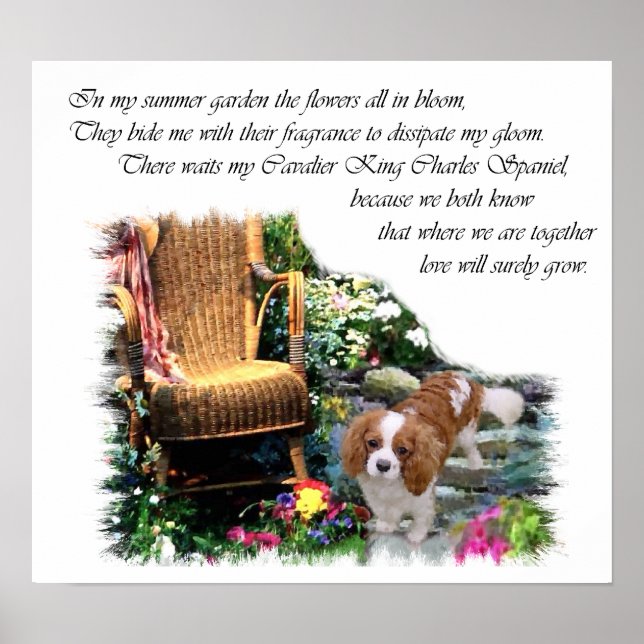 Cavalier King Charles Spaniel Art Poster (Vorne)