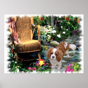 Cavalier King Charles Spaniel Art Poster