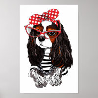 Cavalier King Charles Spaniel aus Paris mit Liebe