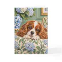Cavalier King Charles Spaniel Begrüßung