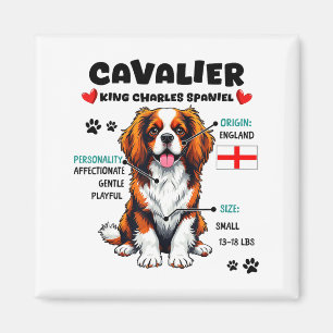 Cavalier King Charles Spaniel Besitzer Lustiger Hu Magnet