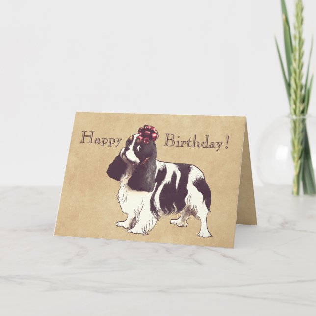 Cavalier King Charles Spaniel Birthday Card Karte (Vorderseite)