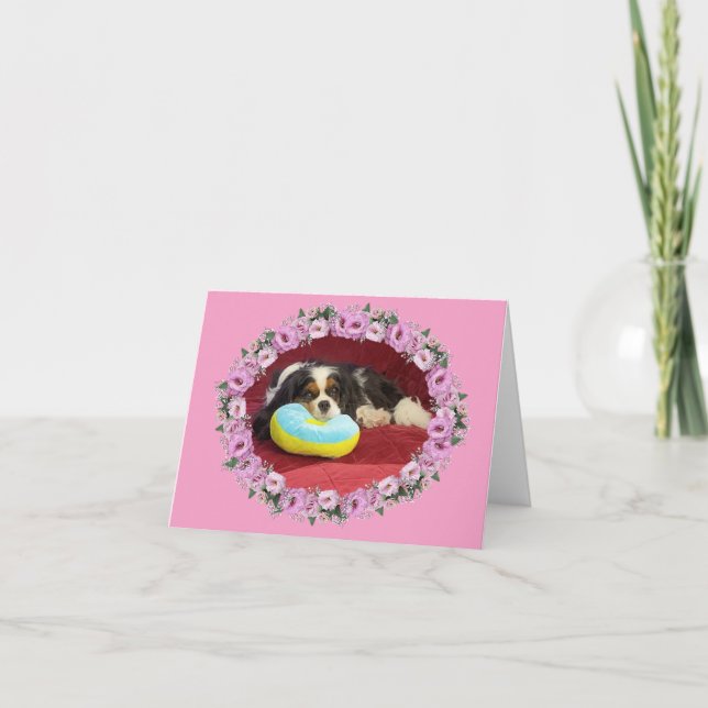 Cavalier King Charles Spaniel Blank Note Card Karte (Vorderseite)