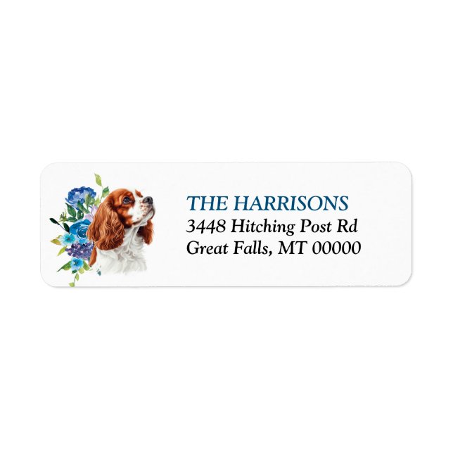 Cavalier King Charles Spaniel Blaues Florales  (Vorne)