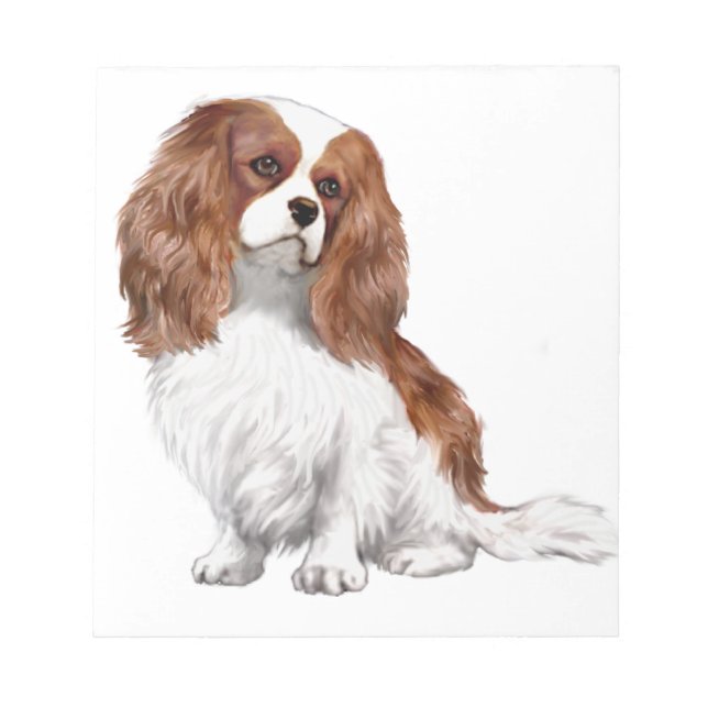 Cavalier King Charles Spaniel (Blenheim A) Notizblock (Vorderseite)