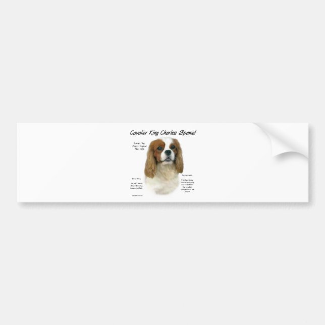 Cavalier King Charles Spaniel (Blenheim) Geschicht Autoaufkleber (Vorne)