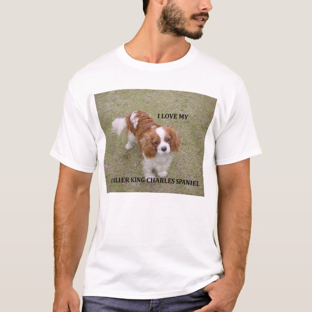 Cavalier-king-charles-spaniel blenheim Liebe w pic T-Shirt (Vorderseite)