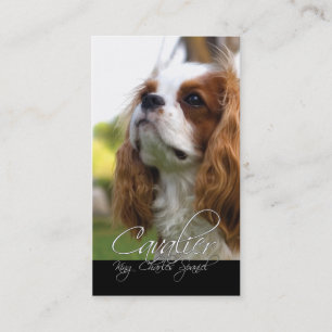 Cavalier King Charles Spaniel Business Cards Visitenkarte