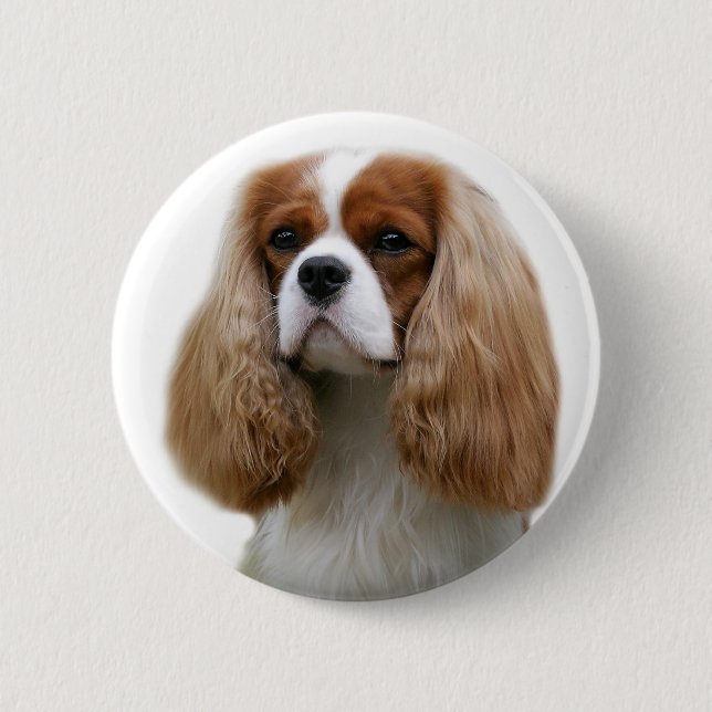 Cavalier King Charles Spaniel Button (Vorderseite)