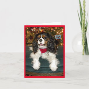 Cavalier King Charles Spaniel Christmas Card Feiertagskarte
