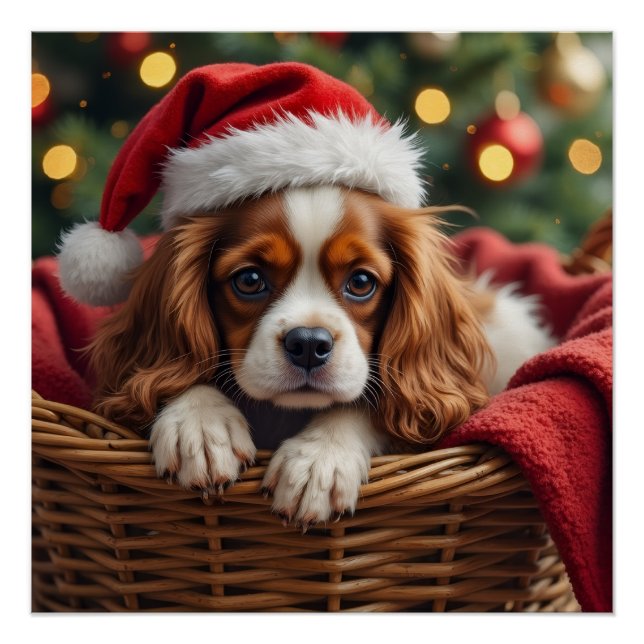 Cavalier King Charles Spaniel Cozy Basket Poster (Vorderseite)