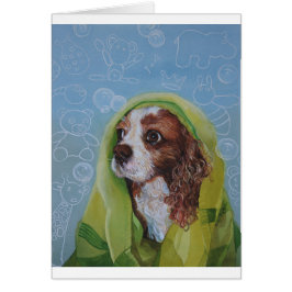 Cavalier King Charles Spaniel Dog