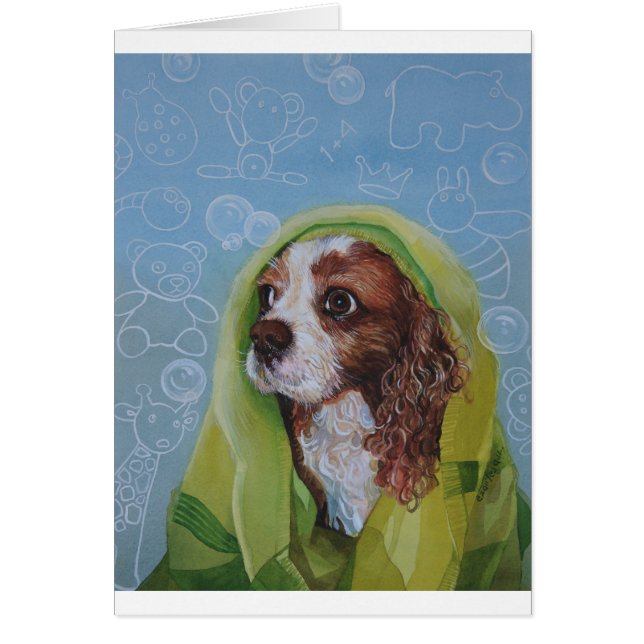 Cavalier King Charles Spaniel Dog (Vorne)