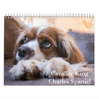 Cavalier King Charles Spaniel Dog Calendar Kalender