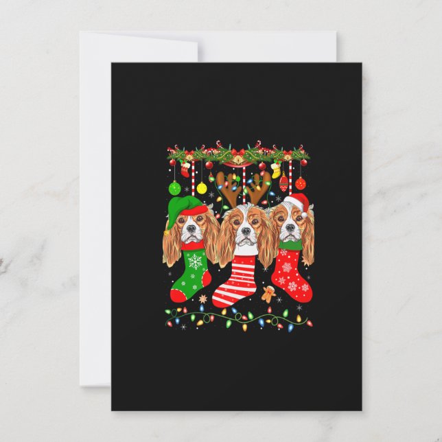 Cavalier King Charles Spaniel Dog in Christmas Soc Einladung (Vorderseite)