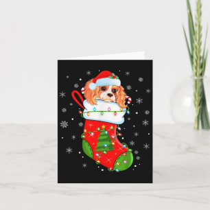 Cavalier King Charles Spaniel Dog in Christmas Soc Karte