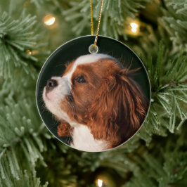 Cavalier King Charles Spaniel Dog Keramik Ornament
