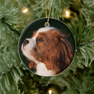 Cavalier King Charles Spaniel Dog Keramik Ornament