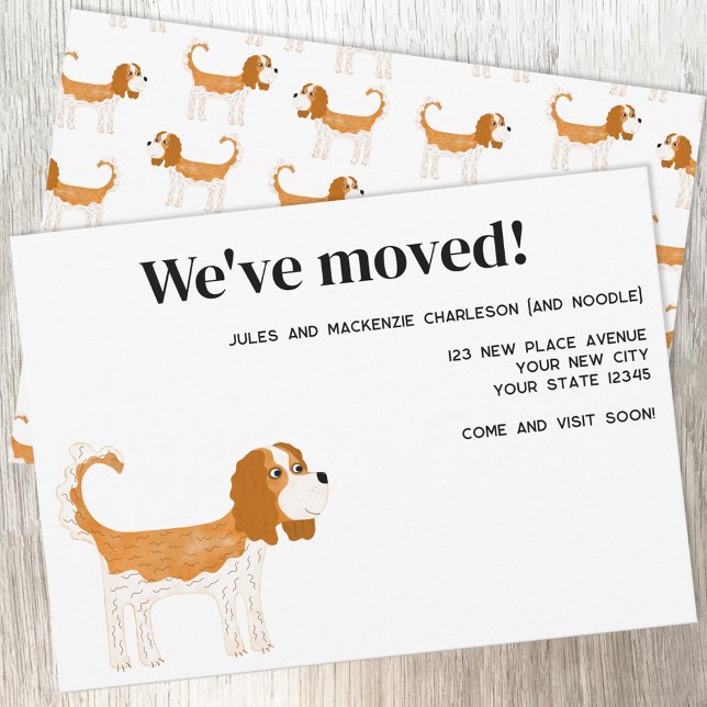 Cavalier King Charles Spaniel Dog Moving New Zuhau Ankündigung (Cavalier King Charles Spaniel Dog Blenheim moving announcement new home change of address card)