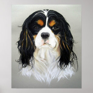 Cavalier King Charles Spaniel Dog Poster Print