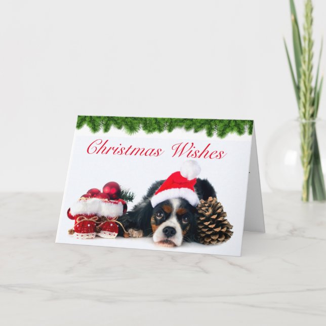 Cavalier King Charles Spaniel Dog Weihnachten (Vorderseite)