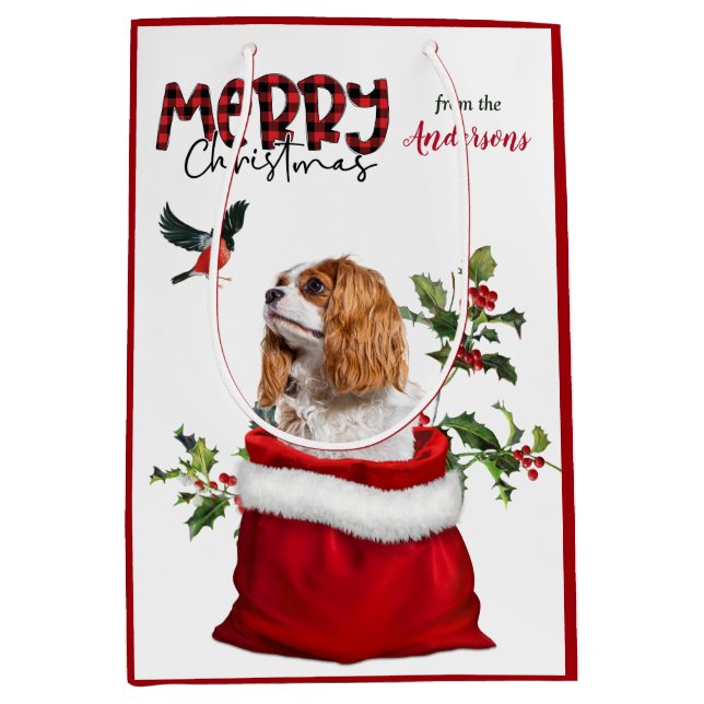 Cavalier King Charles Spaniel Dog Weihnachten Mittlere Geschenktüte (Vorderseite)