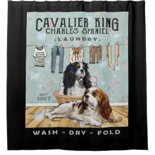 Cavalier King Charles Spaniel Duschvorhang
