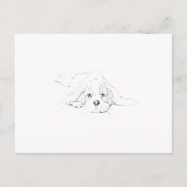 Cavalier King Charles Spaniel Erinnerung Postkarte (Vorderseite)