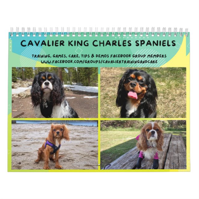 Cavalier King Charles Spaniel FB Group Calendar (2 Kalender (Titelbild)