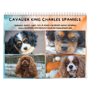 Cavalier King Charles Spaniel FB Group Kalender