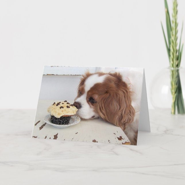 Cavalier King Charles Spaniel Fridays Cupcake Karte (Vorderseite)