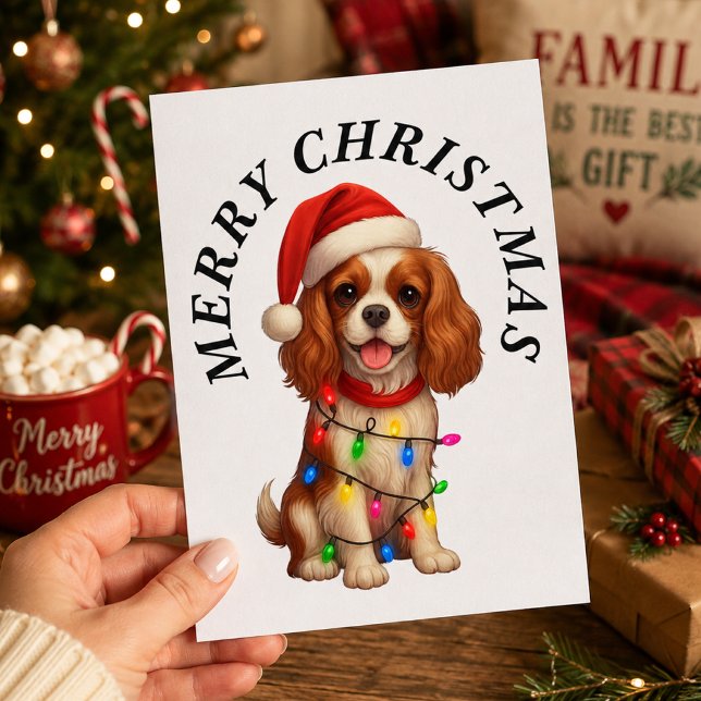 Cavalier King Charles Spaniel Frohe Weihnachten (Von Creator hochgeladen)