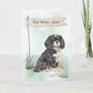 Cavalier King Charles Spaniel Fühlt Sich Nach Der  Karte