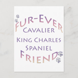 Cavalier King Charles Spaniel Furever Postkarte