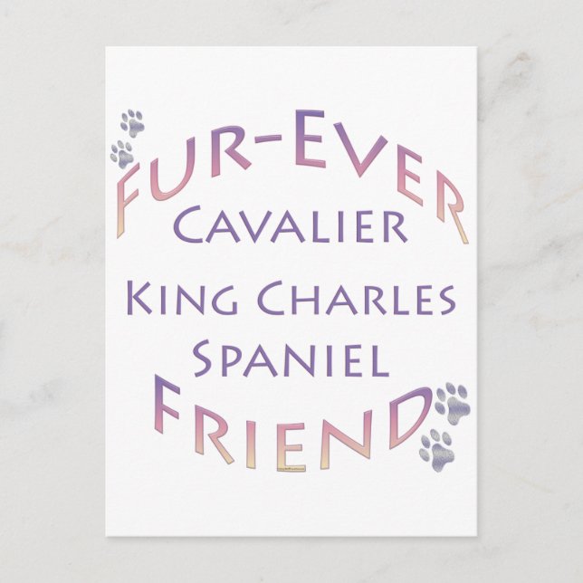 Cavalier King Charles Spaniel Furever Postkarte (Vorderseite)
