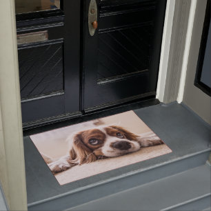 Cavalier king charles spaniel fußmatte