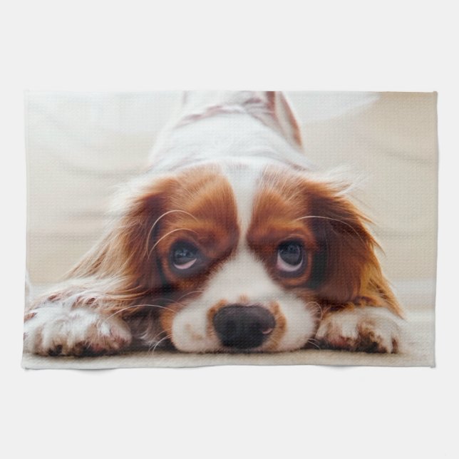 Cavalier King Charles Spaniel Geschirrtuch (Horizontal)