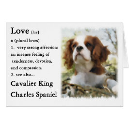 Cavalier King Charles Spaniel Gifts