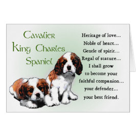 Cavalier King Charles Spaniel Gifts
