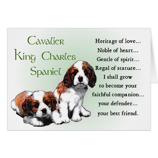 Cavalier King Charles Spaniel Gifts (Vorderseite (Horizontal))