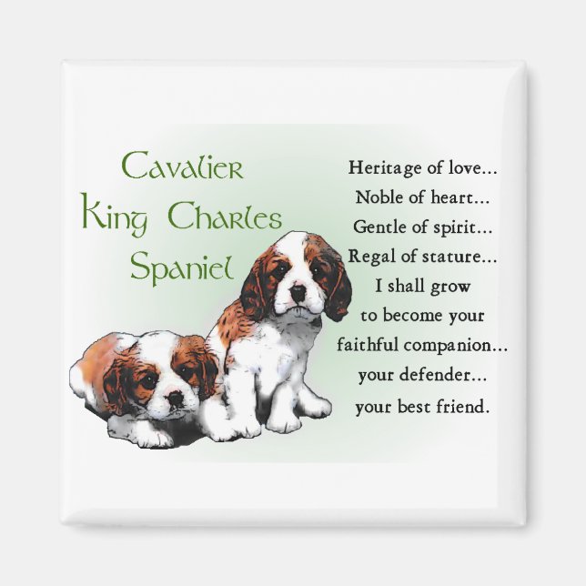 Cavalier King Charles Spaniel Gifts Magnet (Vorne)