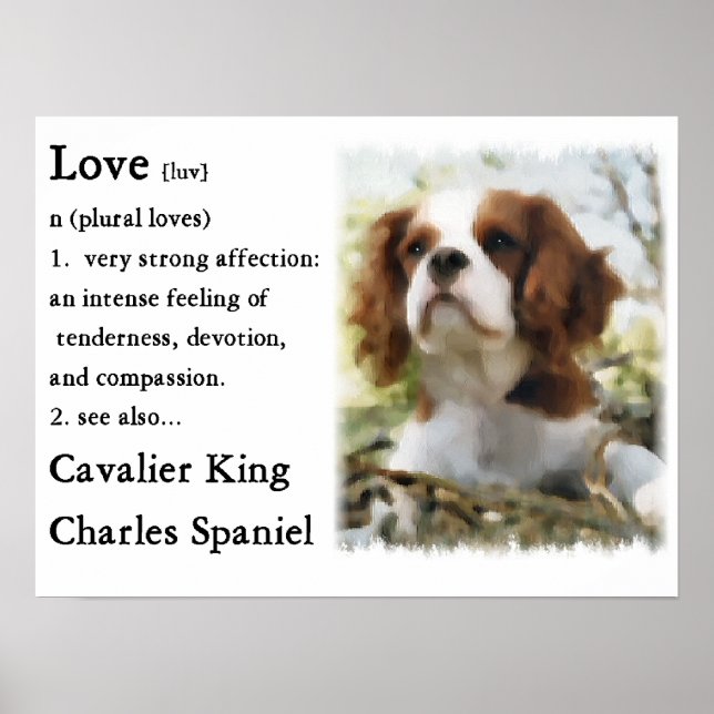 Cavalier King Charles Spaniel Gifts Poster (Vorne)